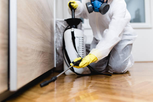 Best Pest Control for Restaurants  in North Zanesville, OH