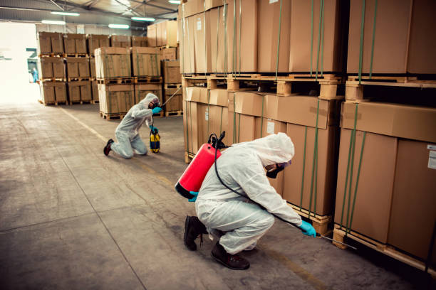 Best Exterminator Services  in North Zanesville, OH