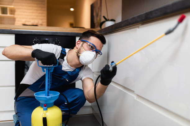 Best Wildlife Control Services  in North Zanesville, OH