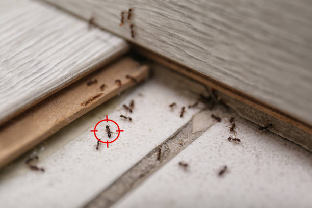 Pest Control for Restaurants in North Zanesville, OH