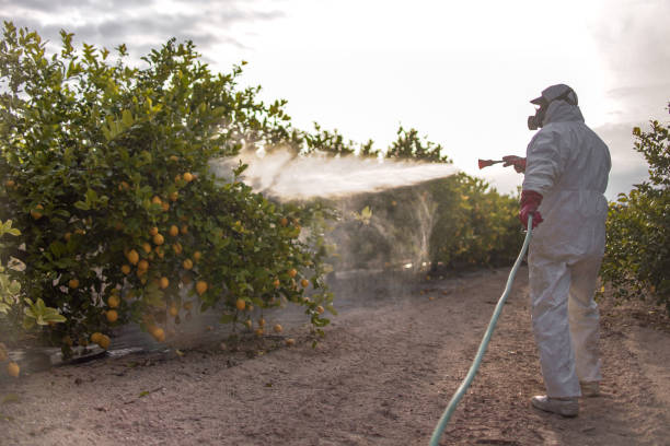 Best Best Pest Control Companies  in North Zanesville, OH