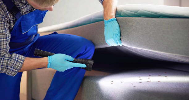 Best Best Pest Control Companies  in North Zanesville, OH
