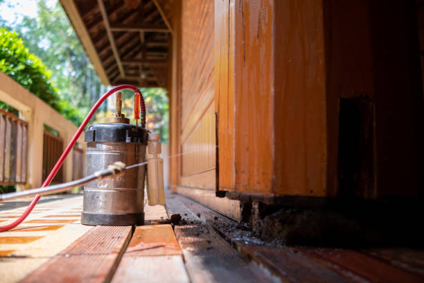 Best Mosquito Control Services  in North Zanesville, OH