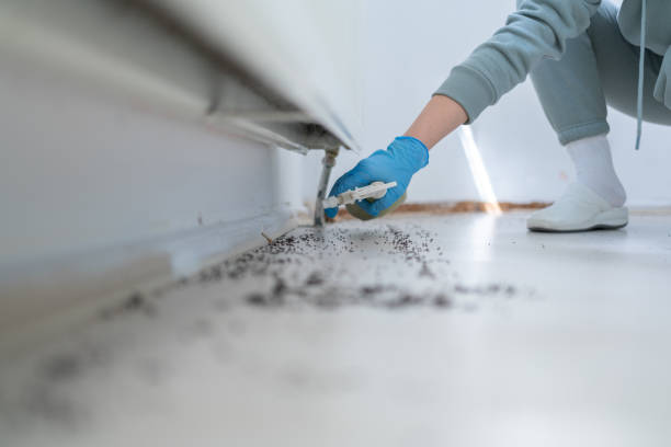 Best Best Pest Control Near Me  in North Zanesville, OH