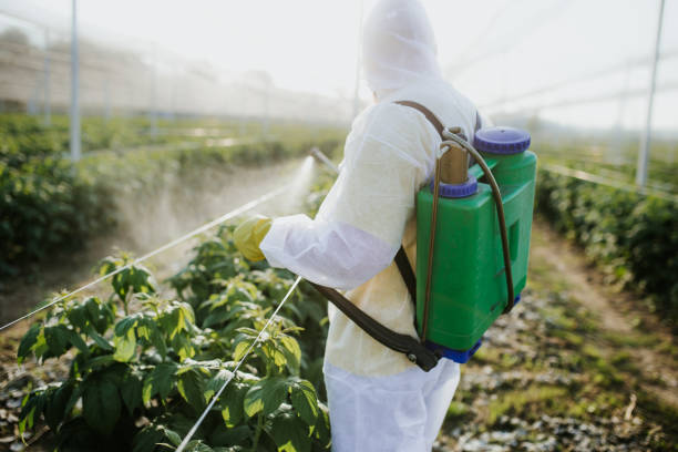 Best Pest Control Near Me  in North Zanesville, OH